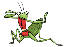 Little Mantis Kung Fu