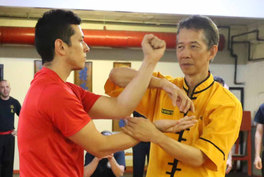Wing Chun Chi Sau